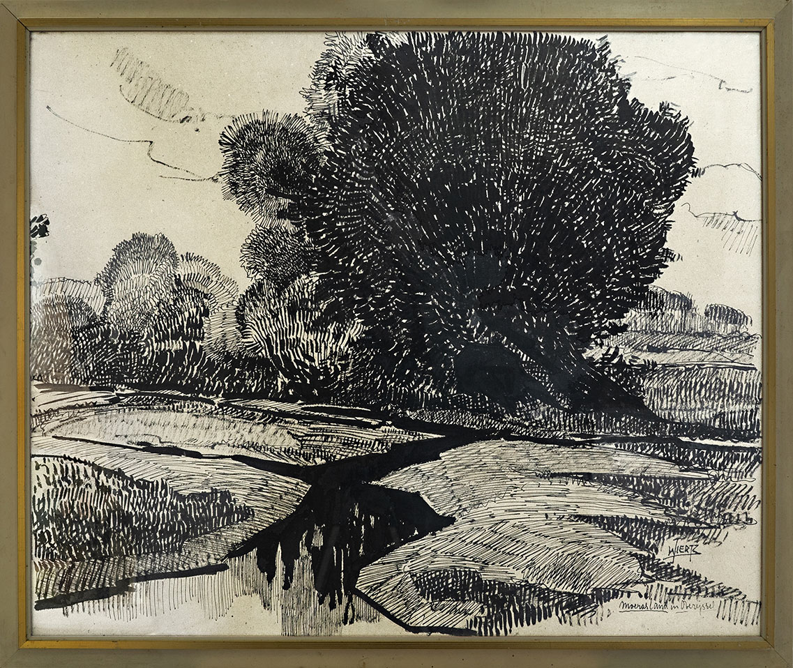 moeraslandschap in Overijssel